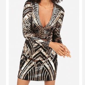 Express Long Sleeve Bodycon Sequin Dress
